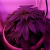 IMG_20170228_200231.jpg