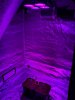 IMG_20170306_183652.jpg
