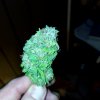 20170307_144111.jpg
