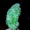20170307_144117.jpg
