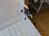 DSC00344.JPG