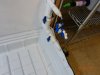 DSC00345.JPG