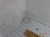 DSC00349.JPG