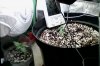 IMG_20170310_133612.jpg