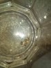 IMG_20170310_182049.jpg