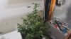 20170311_214423.jpg