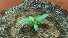 20170314_150705.jpg