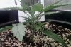 IMG_20170317_091550.jpg