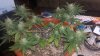 20170318_131652.jpg