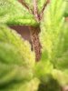 IMG_5645.jpg