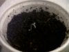 IMG00318-20120806-2218.jpg