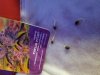 20170225_070453.jpg