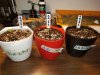 20170313_224839.jpg
