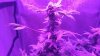 20170319_203918.jpg