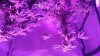 20170322_065937.jpg