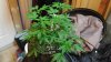 20170322_070048.jpg