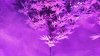 20170322_065931.jpg