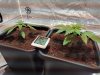 IMG_20170324_191740.jpg