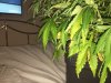 IMG_0696.JPG