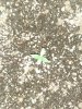 IMG_20170326_132204.jpg
