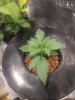 IMG_20170326_225144.jpg