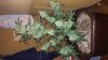 20170329_124914.jpg
