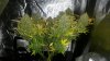 20170326_132540.jpg