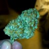 20170318_061323.jpg