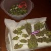 20170321_163101.jpg
