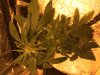 Day 23 GSC (3).JPG