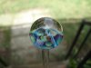 DSC04833.jpg