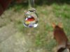 DSC04834.jpg