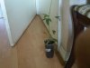 IMG00723-20120814-1424.jpg IMG00723-20120814-1424.jpg