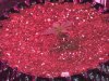 100_2994.jpg