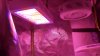 20170225_224750_HDR_noexif.jpg