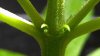 20170317_091213_noexif.jpg