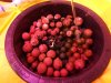 DSC00395.JPG
