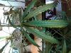 20170406_220914.jpg