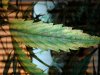 20170406_220927.jpg
