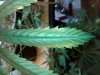 20170406_220920.jpg