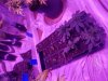 20170409_004916.jpg