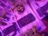 20170409_004924.jpg