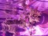 20170409_005004.jpg