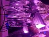 20170409_005109.jpg