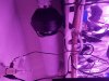 20170409_005119.jpg