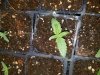 20170410_193219.jpg