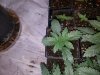 20170410_193236.jpg