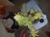 20170412_194647.jpg