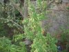 100_2822.JPG