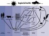 soilfoodweb2.jpg